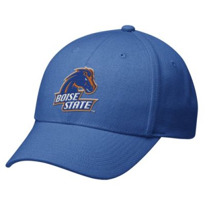 Nike Boise State Broncos Swoosh Flex Hat - One Size