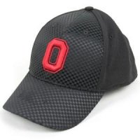 Ohio State Nike Shiny Text Swoosh Flex Hat