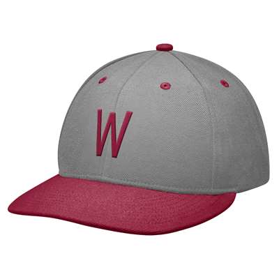 Nike Washington State Cougars True Authentic Baseball Fitted Hat