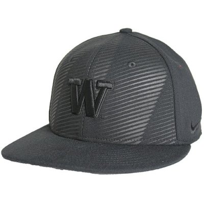 Washington huskies 2024 nike hat