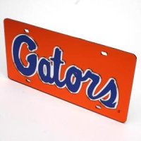 Florida Inlaid Acrylic License Plate - Orange Background