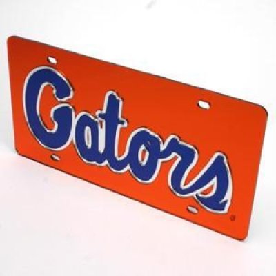 Florida Inlaid Acrylic License Plate - Orange Background