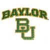 Baylor High Performance Decal -