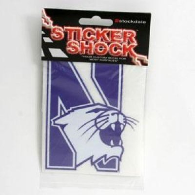 Northwestern "n" Decal