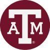 Texas A&m Valve Stem Caps