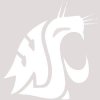 Washington State 12"x12" Logo Decal - White