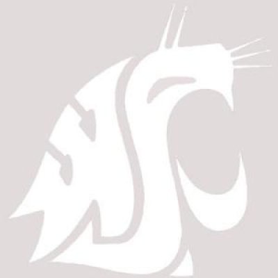 Washington State 12"x12" Logo Decal - White