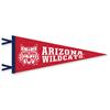 Arizona Wildcats Wool Felt Pennant - 9" x 24"