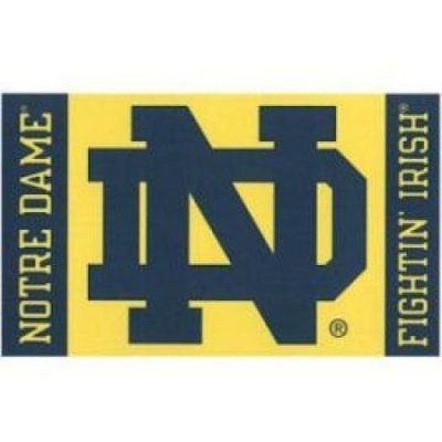 WinCraft 3X5 Team Logo Flag (Notre Dame Fighting Irish - Blue,)