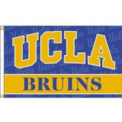 Ucla 3' X 5' Flag