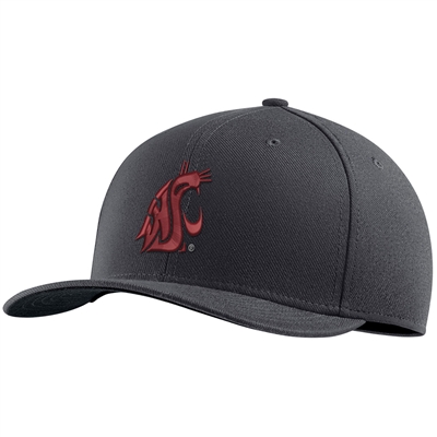 Nike Washington State Cougars Dri-FIT C99 Swoosh Flex Hat - Anthracite