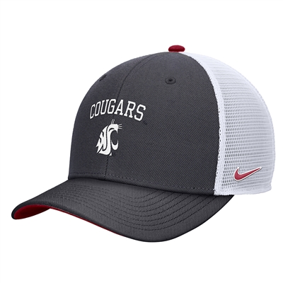 Nike Washington State Cougars Youth Dri-Fit Wool R