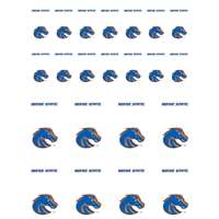 Boise State Broncos Small Sticker Sheet - 2 Sheets