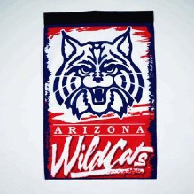 Arizona Banner/vertical Flag 27