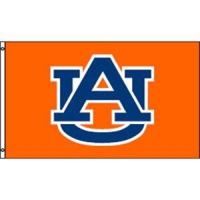 Auburn Nylomax Flag 3x5