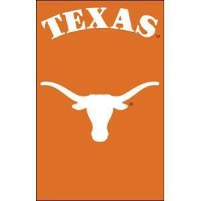 Texas 2-sided Applique 44" X 28" Banner