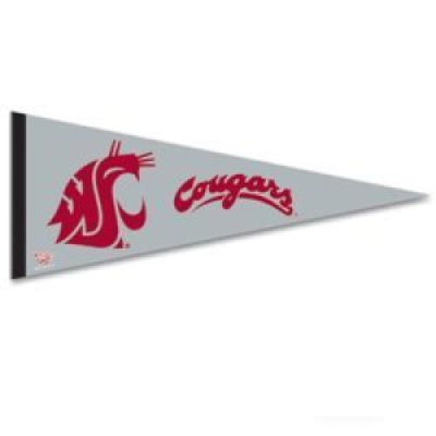 Washington State Premium Pennant - 12" X 30"