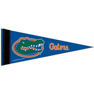 Florida Gators Mini Pennant - 4" x 10"