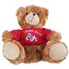 Fresno State Bulldogs Stuffed Bear