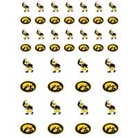 Iowa Hawkeyes Small Sticker Sheet - 2 Sheets