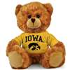 Iowa Hawkeyes Stuffed Bear - 11"