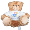 Kansas Jayhawks Stuffed Bear