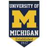 Michigan Wolverines Chevron Premium Felt Banner - 17" X 26"