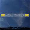 Michigan Wolverines Automotive Transfer Decal Strip