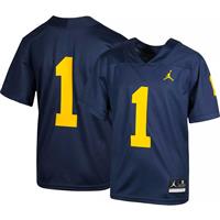 Nike Jordan Michigan Wolverines Youth Untouchable