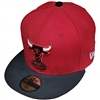 Chicago Bulls New Era 5950 2Tone Basic Fitted Hat