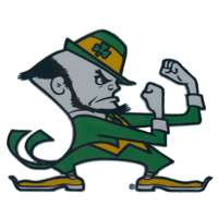 Notre Dame Fighting Irish Die-Cut Transfer Decal - Mascot