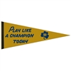 Notre Dame Fighting Irish Premium Pennant - 12" X 