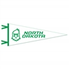 North Dakota Fighting Hawks Wool Felt Pennant - 9"