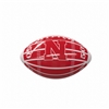 Nebraska Cornhuskers Glossy Field Mini Football