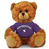 Northwestern Wildcats Stuffed Bear