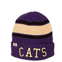 Northwestern Wildcats Zephyr Women's Legendary Pom Knit Beanie