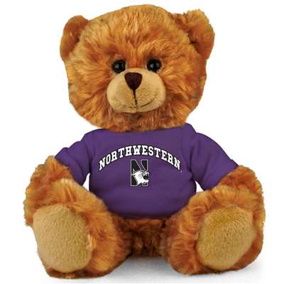 Northwestern Wildcats Stuffed Bear - 11"