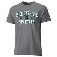 Michigan State Spartans Cotton Heritage T-Shirt - Grey