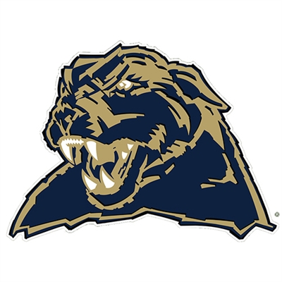 Pittsburgh Panthers Die-Cut Transfer Decal