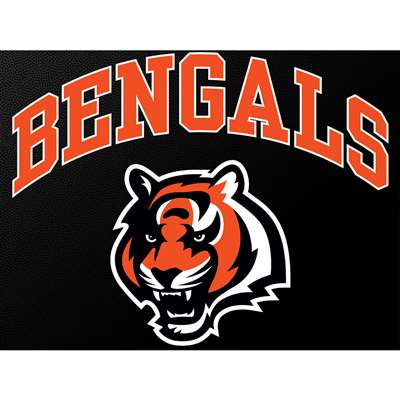 Lids Cincinnati Bengals WinCraft Chrome Color License Plate Frame