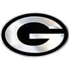 Greenbay Packets Chrome Auto Emblem