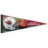 Arizona Cardinals Premium Pennant - 12" X 30"