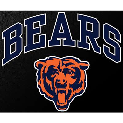 Chicago Bears Full Color Die Cut Transfer Decal - 6" x 6"