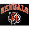 Cincinatti Bengals Full Color Die Cut Transfer Decal - 6" x 6"