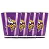 Minnesota Vikings Shot Glass - 4 Pack