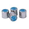 Detroit Lions Valve Stem Caps