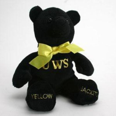 Wisconsin Superior Boy Bear By Campus Originals