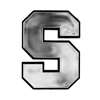 Syracuse Orange Chrome Plastic Auto Emblem