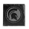 Michigan State Spartans Slate Coasters - Set of 4