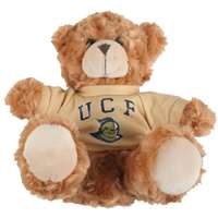 Central Florida Knights Stuffed Bear